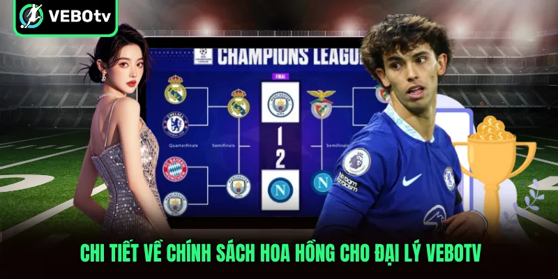 Chi tiết về chính sách hoa hồng cho đại lý VeboTV