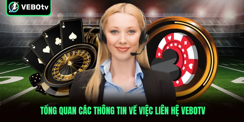 Tổng quan các thông tin về việc liên hệ VeboTV